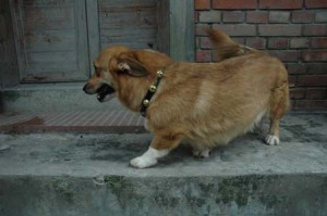 1380945614-1911180828