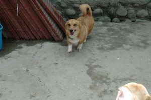 1380945614-3324737058