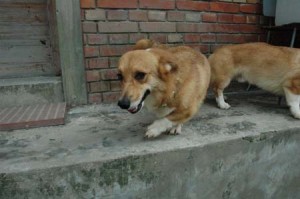 1380945615-1955108689