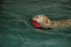 1380945622-2575462084