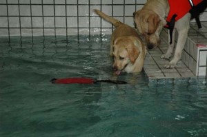 1380945623-249299922