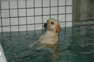 1380945623-3123857917