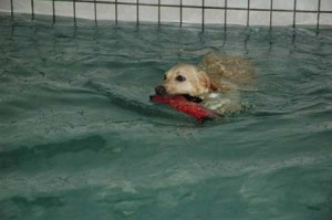 1380945624-2430949444