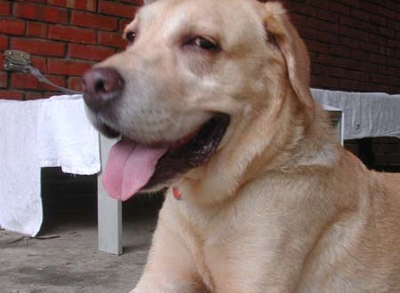 1380945624-3143889273