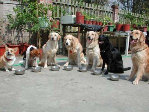 1380945626-2861043072