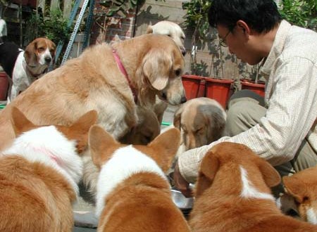 1380945627-1308749516