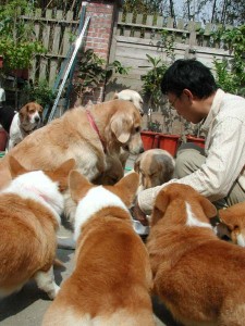 1380945627-1308749516