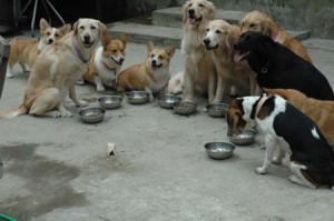 1380945627-1494904116