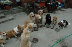 1380945628-116863070