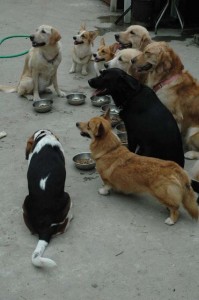 1380945628-2321513284