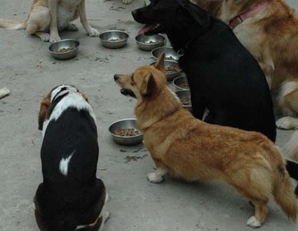 1380945628-2321513284