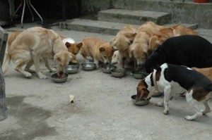 1380945629-3393011637