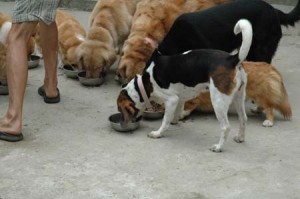 1380945629-3914939111