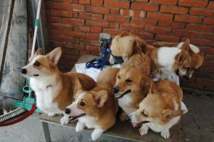 1380945651-3175818018