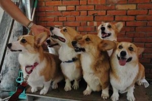 1380945652-1404745635