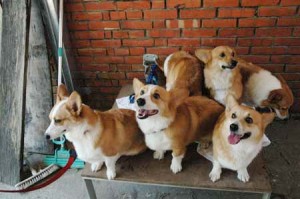 1380945652-2226029023