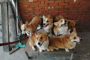 1380945653-3611025541