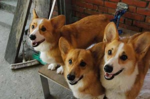 1380945654-205304214