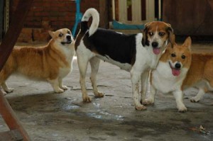 1380945658-3878696158