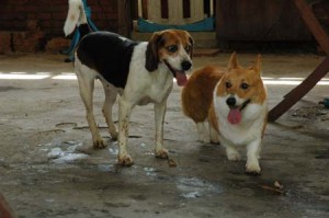 1380945658-933528851