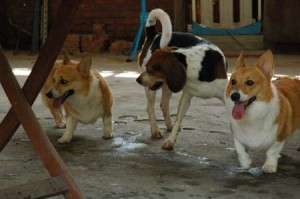 1380945659-1402341098