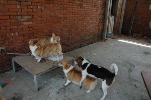 1380945659-2334994258