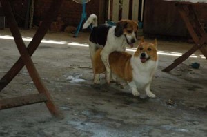 1380945659-4011081002