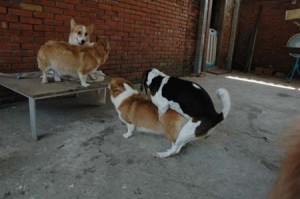 1380945660-2174134816