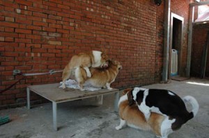 1380945660-2845602616