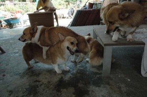 1380945661-2455174387