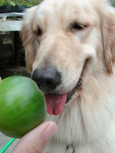 1380945662-3173882541