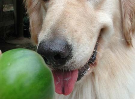 1380945662-3173882541