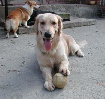 1380945663-117210153