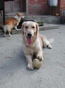 1380945663-117210153