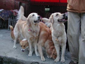 1380945663-198881669