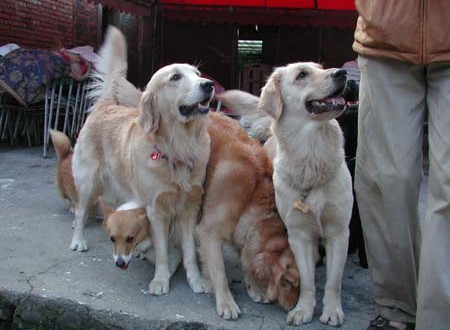 1380945663-198881669