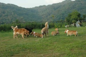 1380945672-2369573024