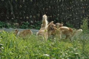 1380945672-2813595481