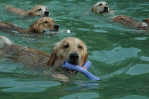 1380945672-3948149322