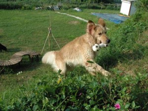 1380945673-2289524187