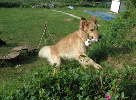 1380945673-2289524187