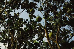 1380945673-798410725