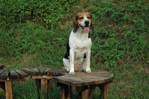 1380945674-3759001337