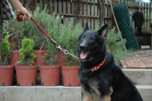 1380945689-2446334434