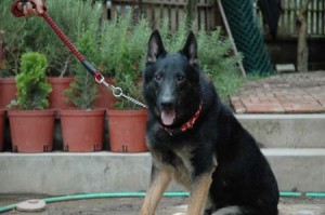 1380945689-2903593816