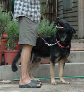 1380945689-3479587945