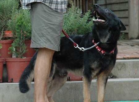 1380945689-3479587945