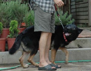 1380945690-1473553794