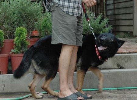 1380945690-1473553794