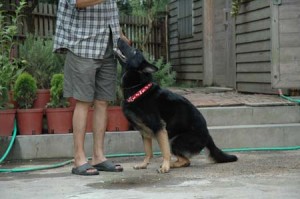 1380945690-3067675719